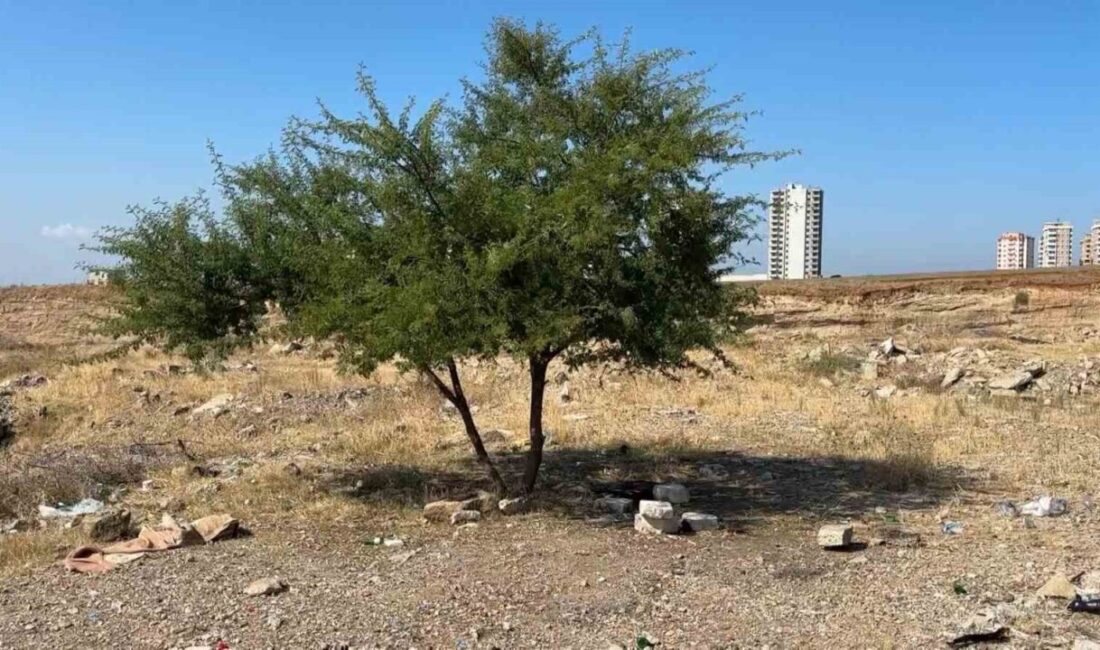Adana’da 35 yaşındaki bir kişi, boş bir arazide hayatını kaybetmiş