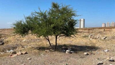 Adana’da 35 yaşındaki bir kişi, boş bir arazide hayatını kaybetmiş
