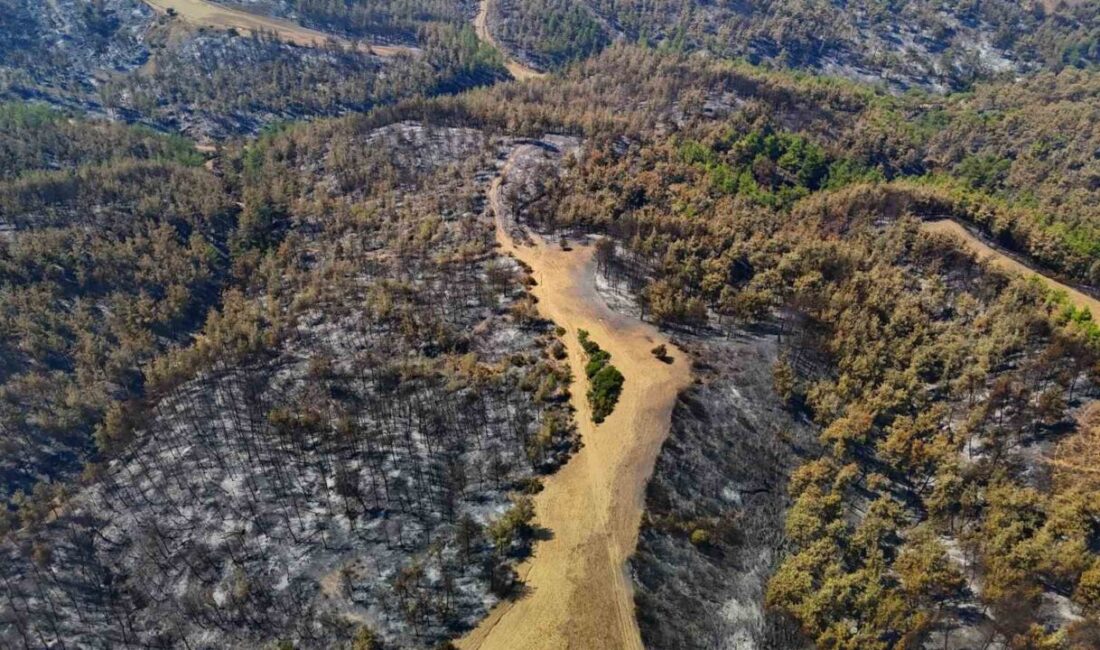 Adana’nın Kozan ilçesinde 3 gün önce başlayan ve İmamoğlu ile