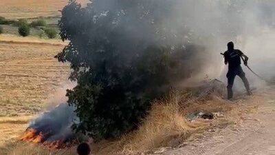 Adıyaman’ın Kuştepe köyünde bir bahçede meydana gelen yangın, ağaçlara zarar