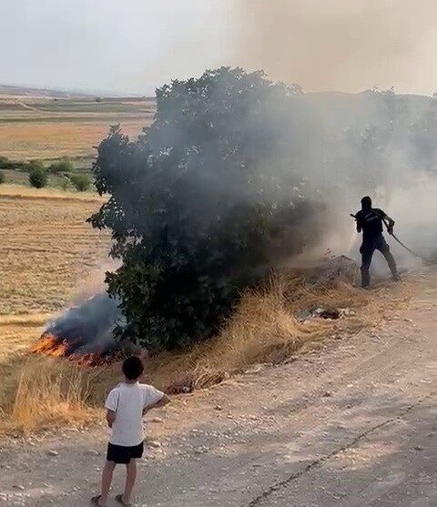 Adıyaman’ın Kuştepe köyünde bir bahçede meydana gelen yangın, ağaçlara zarar