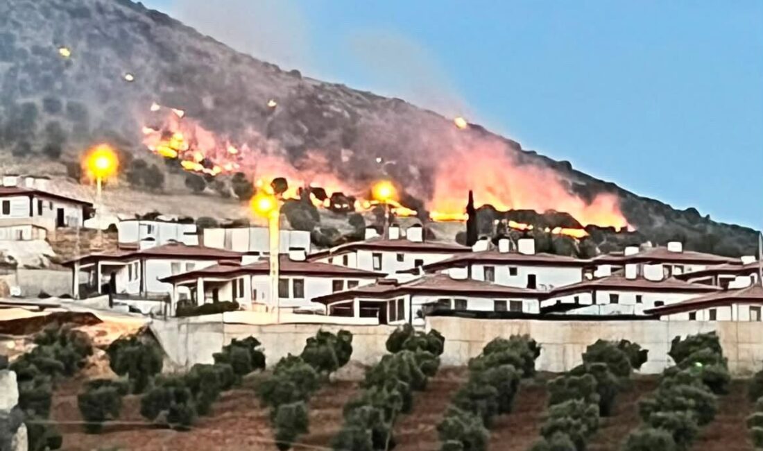 Adıyaman’a bağlı Çelikhan ilçesindeki ormanlık alanda meydana gelen yangın endişe