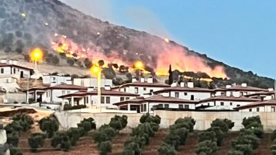 Adıyaman’a bağlı Çelikhan ilçesindeki ormanlık alanda meydana gelen yangın endişe