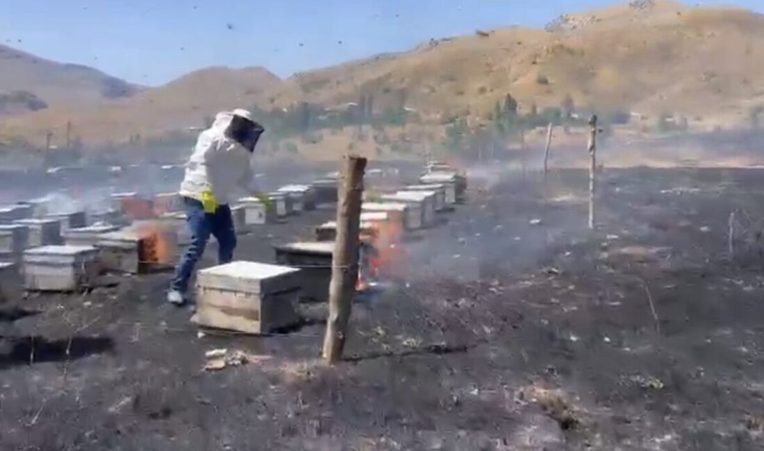 Adıyaman’ın Gerger ilçesinde çıkan yangın, arı kovanlarının bulunduğu alana sıçradı