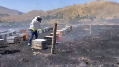 Adıyaman’ın Gerger ilçesinde çıkan yangın, arı kovanlarının bulunduğu alana sıçradı