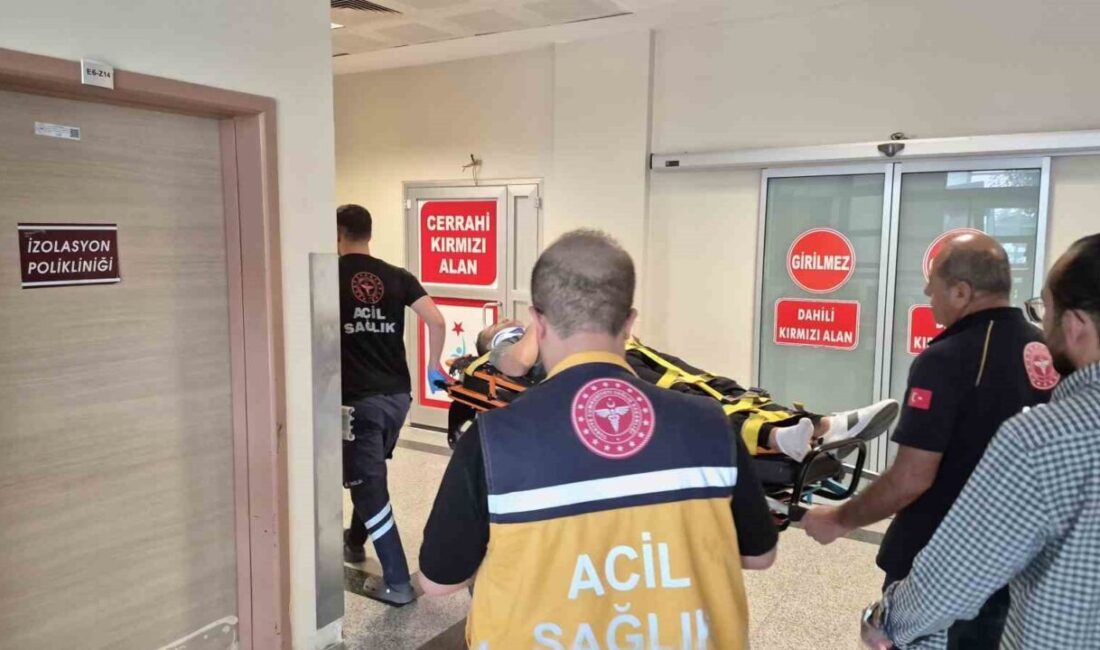 Adıyaman’da meydana gelen trafik kazasında bir kişi yaralandı. Kazada, Atatürk