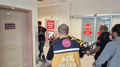 Adıyaman’da meydana gelen trafik kazasında bir kişi yaralandı. Kazada, Atatürk