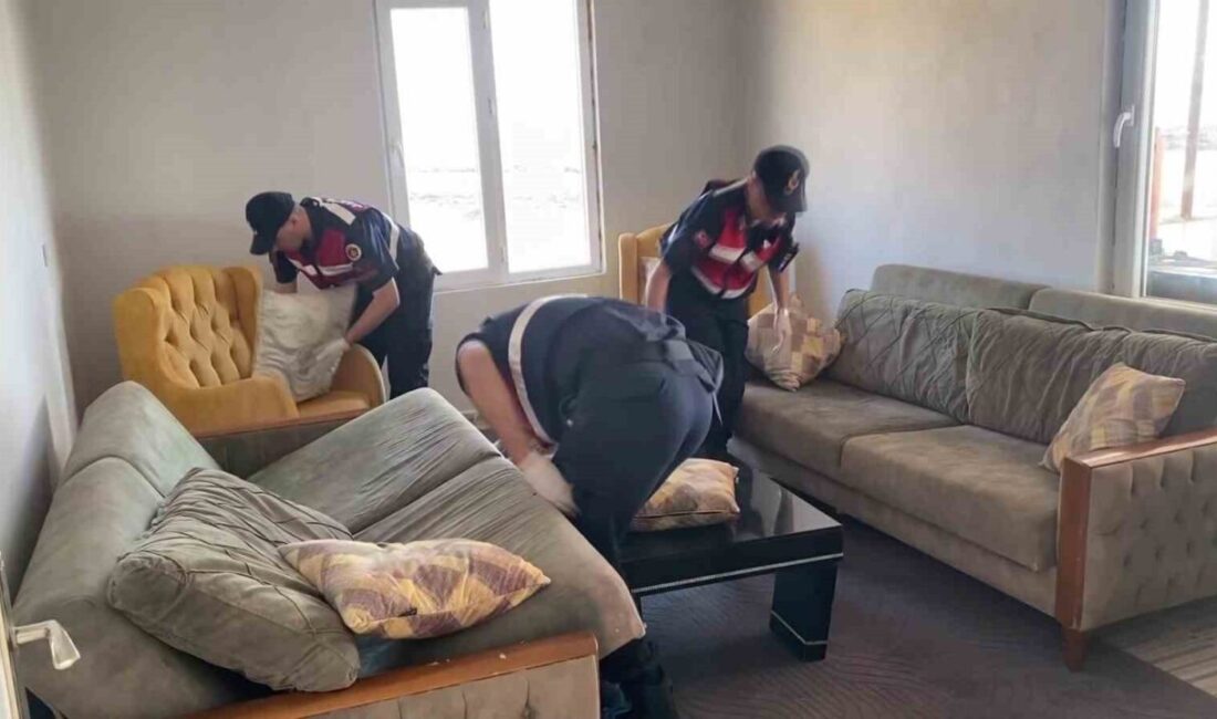 Adıyaman Cumhuriyet Başsavcılığı tarafından yürütülen “Sokaklar Güvende” operasyonları kapsamında, 29