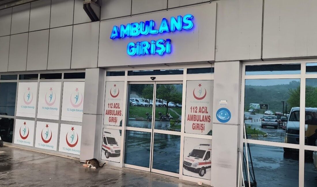 Çiçekli köyünde yaşanan bir olayda, ağaçtan düşen bir kişi ile