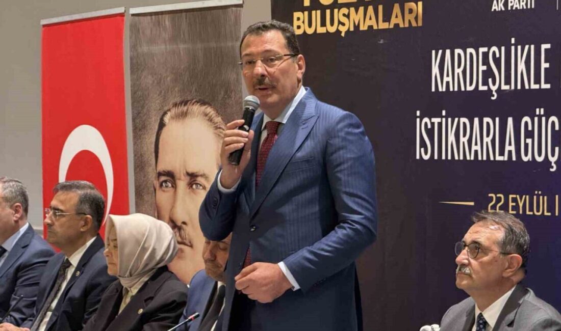 AK Parti Genel Başkan Yardımcısı ve Seçim İşleri Başkanı Ali
