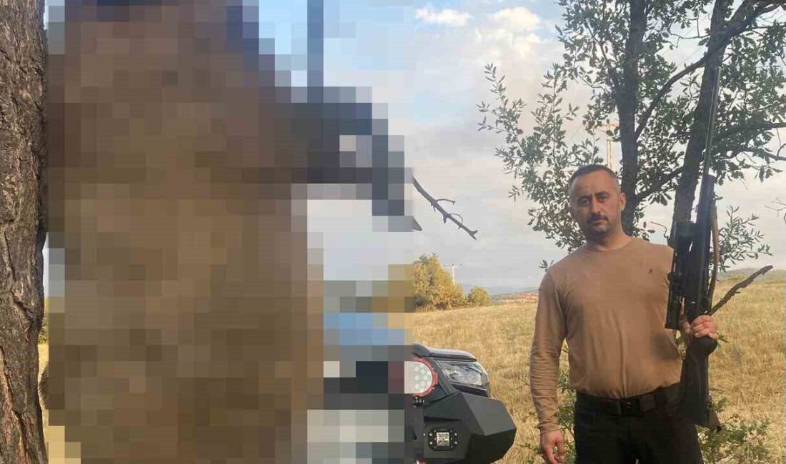 Akdağmadeni ilçesine bağlı Yozgat’ın tarım arazilerine büyük zarar veren dev