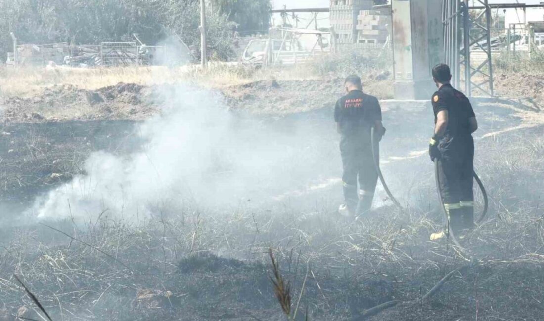 Aksaray’da, Yeni Mahalle 6118. Sokak’ta bulunan boş arazide kurumuş otların