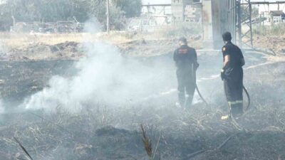 Aksaray’da, Yeni Mahalle 6118. Sokak’ta bulunan boş arazide kurumuş otların