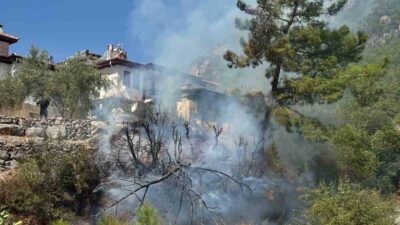 Muğla’nın Ula ilçesine bağlı Akyaka Mahallesi’nde evlere yakın bir zeytinlik