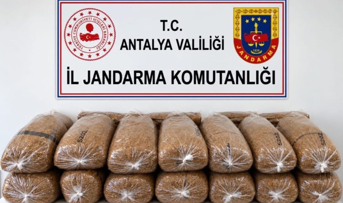 Alanya ilçesinde jandarma ekipleri tarafından gerçekleştirilen operasyonda, koliler içerisinde 144