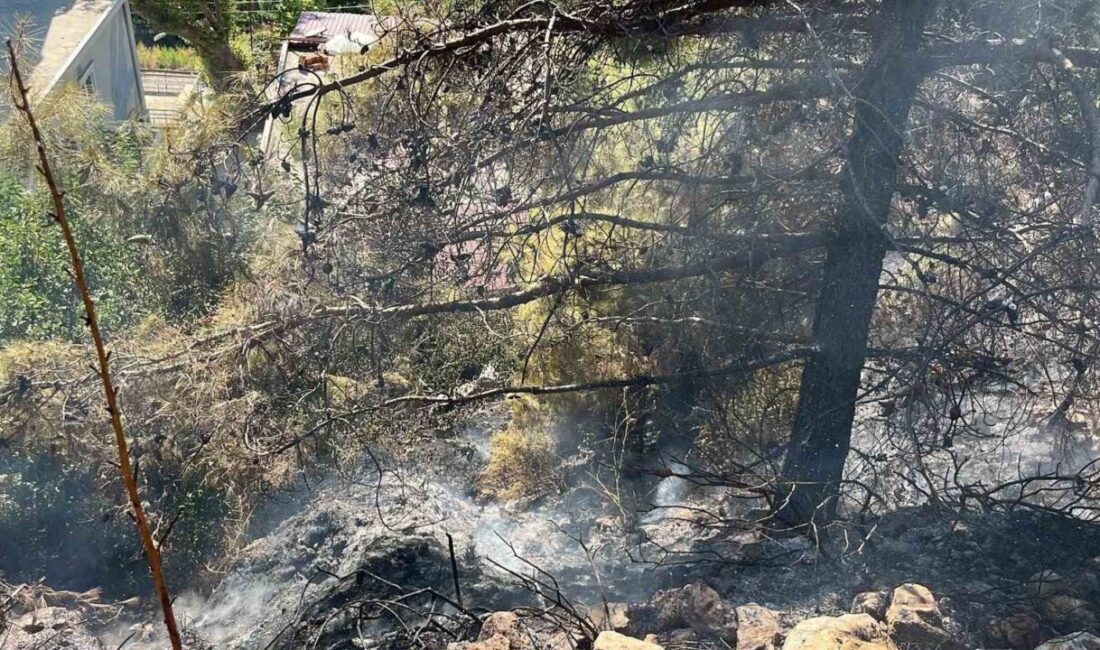 Alanya ilçesinde meydana gelen çalılık alandaki yangın, kısa sürede müdahale