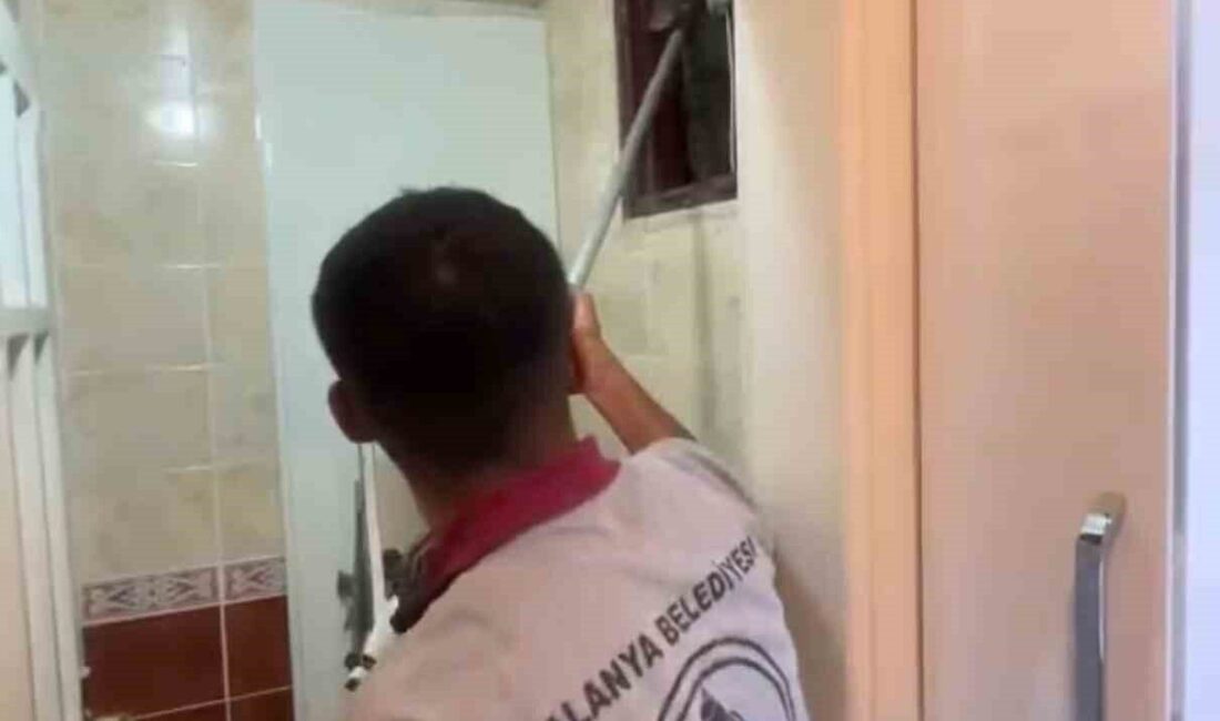 Alanya ilçesinde bir apartmanın havalandırma boşluğuna düşen sokak kedisinin, Alanya