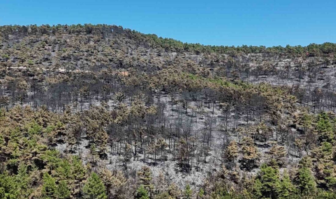 Muğla’nın Menteşe ilçesine bağlı Yaraş mevkisinde dün sabah başlayan ve