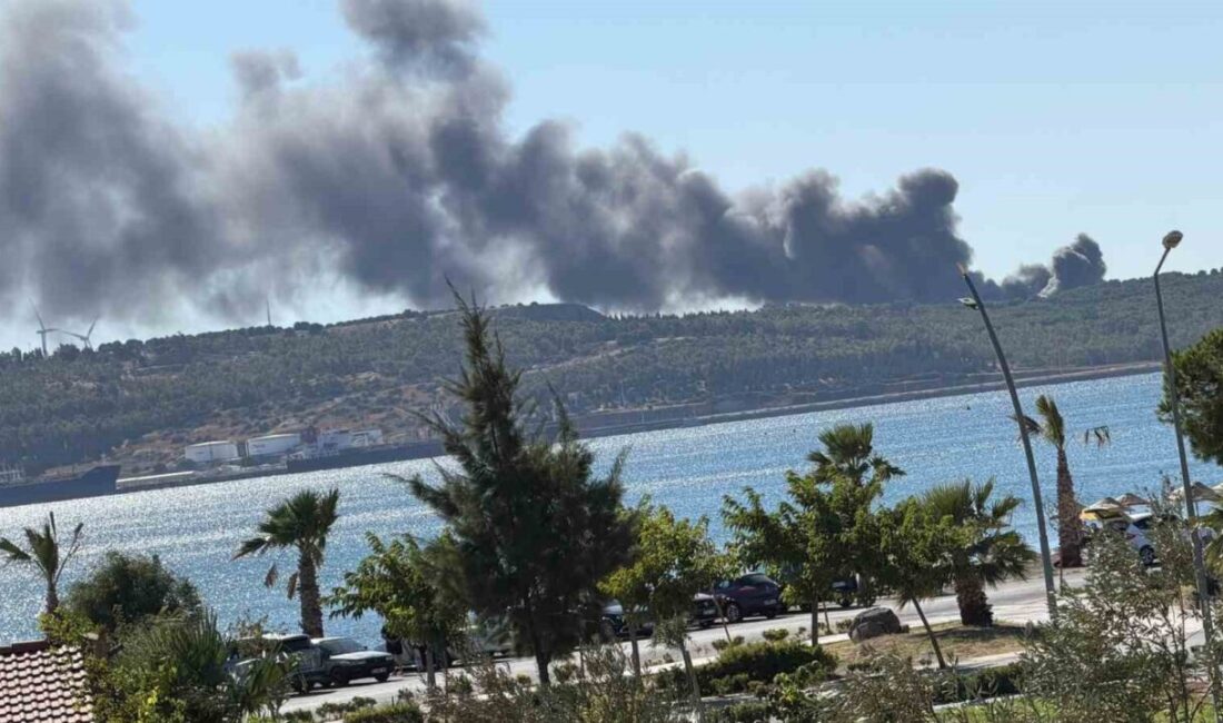 İzmir Aliağa ilçesindeki gemi söküm tesislerinde bulunan bir firma tarafından