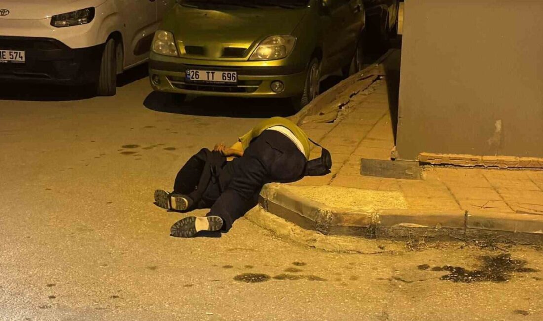 Eskişehir’de, Kırmızıtoprak Mahallesi Erciyes Sokak’ta bir kaldırımda hareketsiz yatan ve
