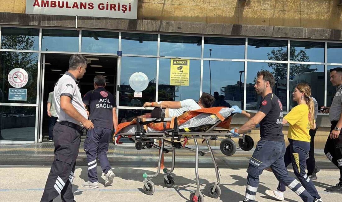 Çorum’un merkez ilçesine bağlı Ömerbey köyünde gerçekleşen bir olayda, amca