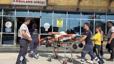 Çorum’un merkez ilçesine bağlı Ömerbey köyünde gerçekleşen bir olayda, amca