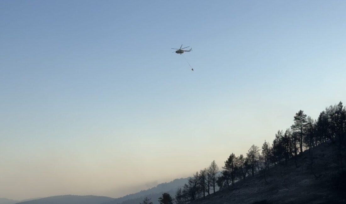Çankırı ve Ankara illeri sınırında yer alan ormanlık alandaki yangın,