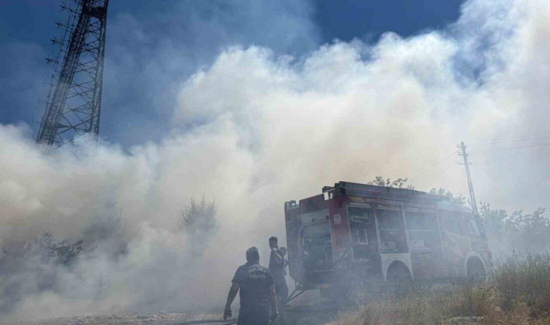 Ankara’nın Çankaya ilçesindeki bir otluk arazide çıkan yangın, itfaiye ekiplerinin