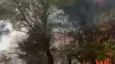 Beypazarı ilçesinde, Oymaağaç Mahallesi’nde meydana gelen yangın, elektrik direğinden kaynaklandığı