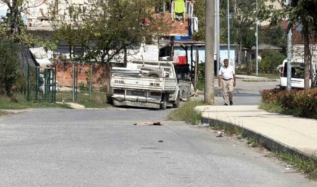 Sapanca ilçesinde gerçekleşen vahim olayda, 16 yaşındaki zanlının annesini silahla