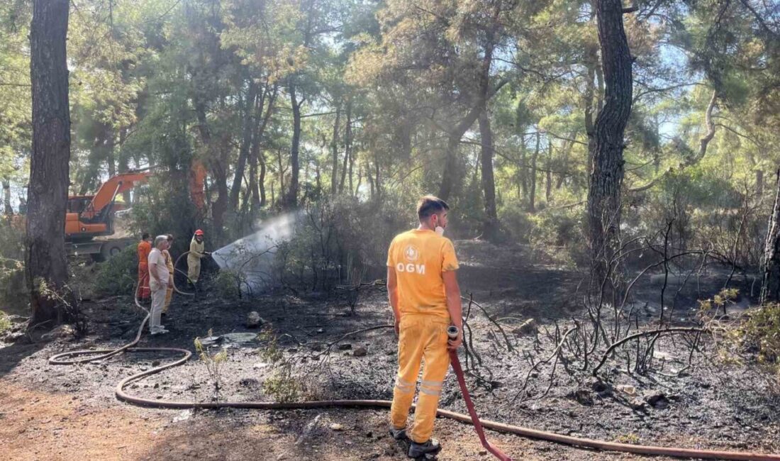 Antalya’nın Kepez ilçesinde yaşanan orman yangını, hava ve karadan gerçekleştirilen