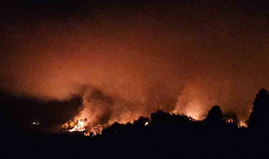 Antalya’nın Serik ilçesinde orman dışı alanda çıkan yangınla ilgili söndürme