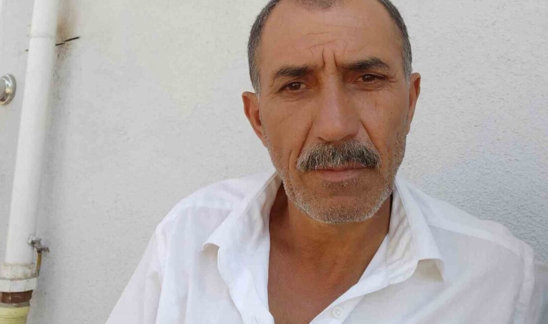 Çorum’un Alaca ilçesinde arı sokması sonucunda rahatsızlanan bir vatandaş, tedavi