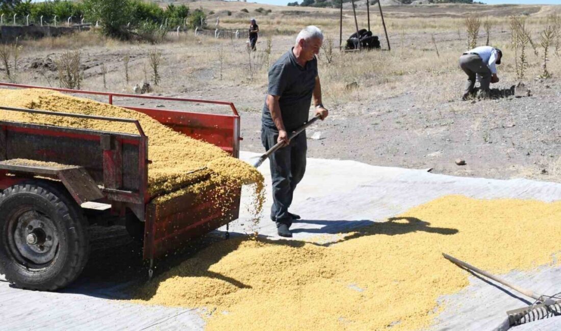 Yozgat’ın Büyükmahal köyünde yaşayan Bektaş ve Ümmügülsüm Uğurlu çifti, 1985