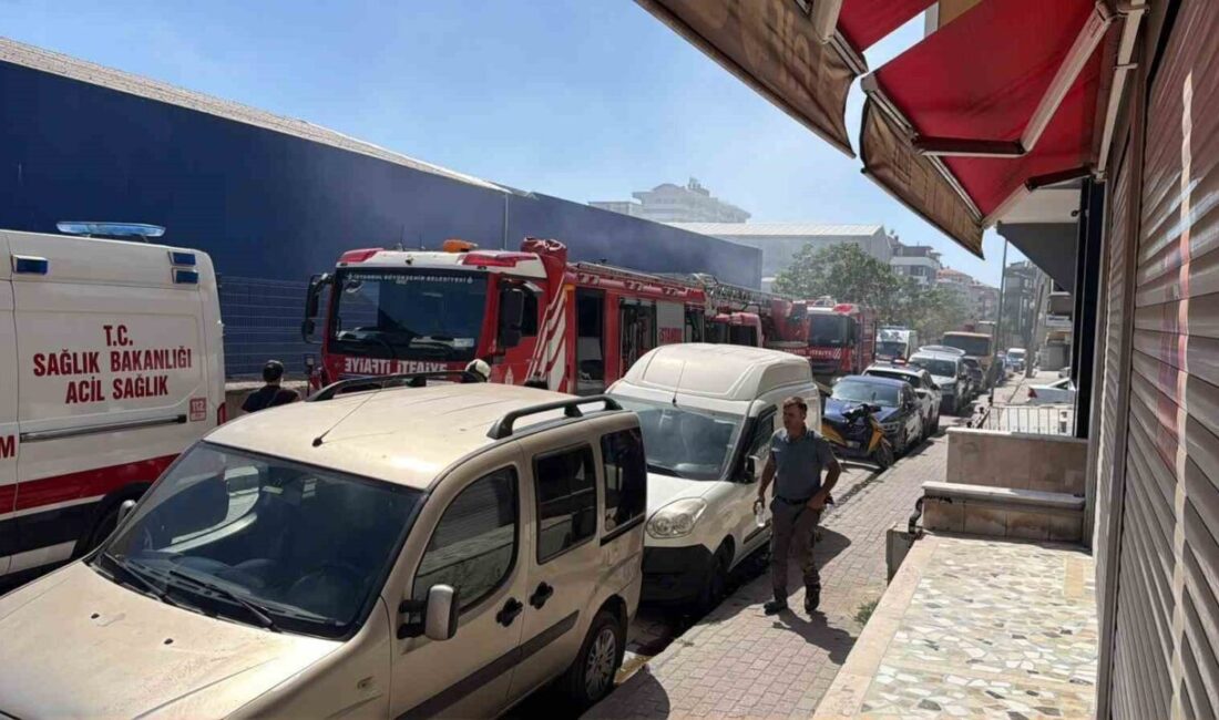 İstanbul’un Avcılar ilçesinde bulunan 4 katlı bir binanın çatı katında