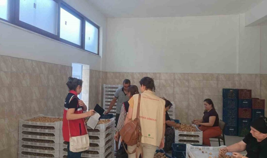 Aydın’ın önemli tarım ürünlerinden biri olan ve Avrupa Birliği tarafından