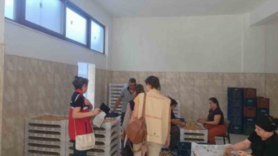 Aydın’ın önemli tarım ürünlerinden biri olan ve Avrupa Birliği tarafından