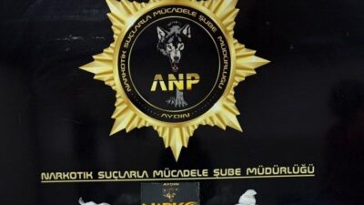 Aydın’ın Efeler ilçesindeki bir uygulama noktasında durdurulan ticari takside gerçekleştirilen