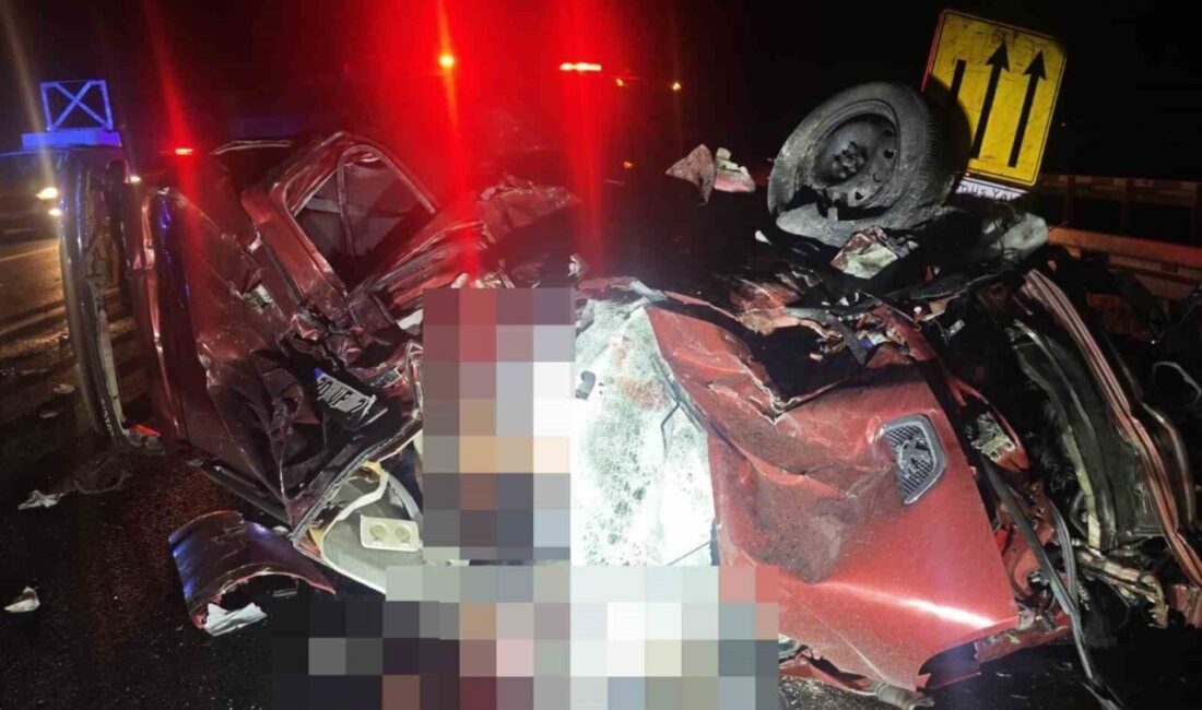 Aydın-Denizli otoyolunda meydana gelen trafik kazasında tır ile hafif ticari
