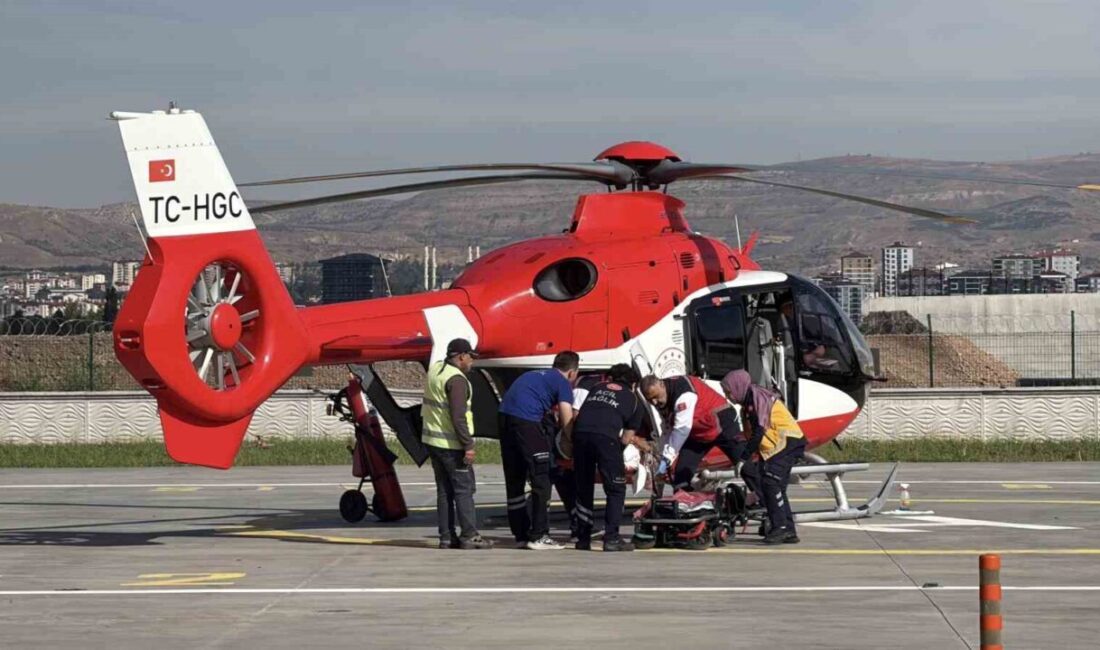 Sivas’ta bir yaylada meydana gelen olayda, ayının saldırısına maruz kalan
