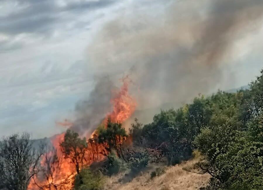 Çanakkale’nin Ayvacık ilçesinde, Dibekli köyü yakınlarında çıkan makilik alandaki yangın