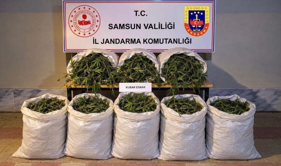 Samsun’un Bafra ilçesinde, jandarma ekipleri tarafından gerçekleştirilen operasyonda 63 kilogram
