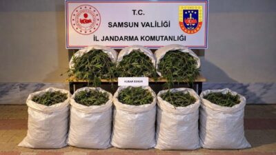 Samsun’un Bafra ilçesinde, jandarma ekipleri tarafından gerçekleştirilen operasyonda 63 kilogram