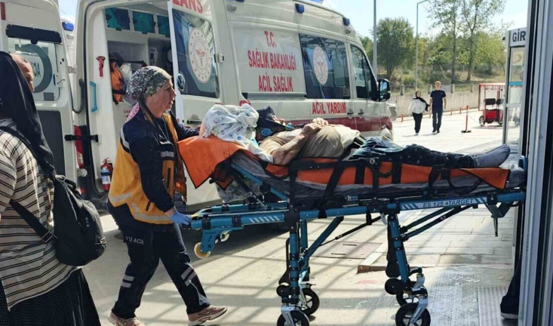 Samsun’un Bafra ilçesinde meydana gelen bir kazada traktörün römorkunun devrilmesi