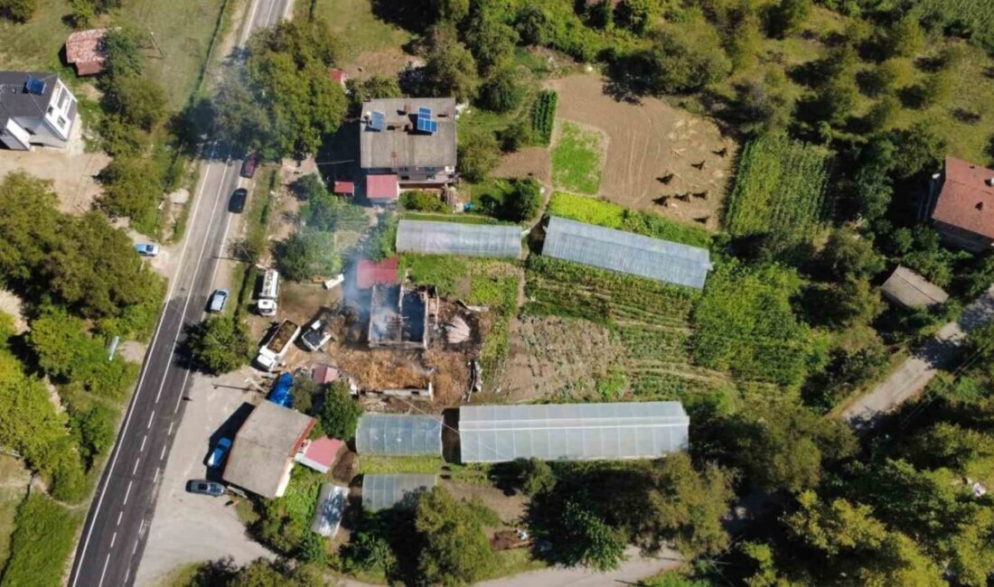 Bartın’ın Ulus ilçesine bağlı Hocaköy Demirciler Mahallesi’nde, ahır olarak kullanılan