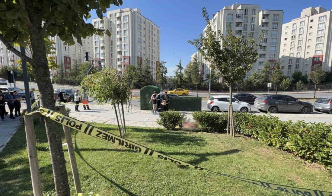 Başakşehir’de bulunan Kayabaşı Mahallesi’ndeki Başakşehir Kültür ve Yaşam Parkı’nda meydana
