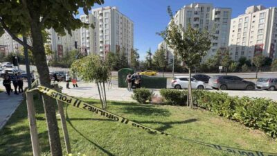 Başakşehir’de bulunan Kayabaşı Mahallesi’ndeki Başakşehir Kültür ve Yaşam Parkı’nda meydana