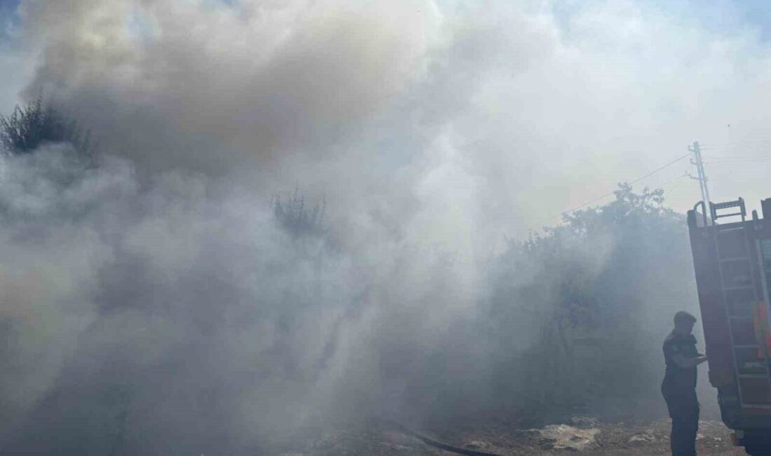 Ankara’nın Çankaya ilçesinde bulunan vericilerin yer aldığı alanda yangın çıktı.