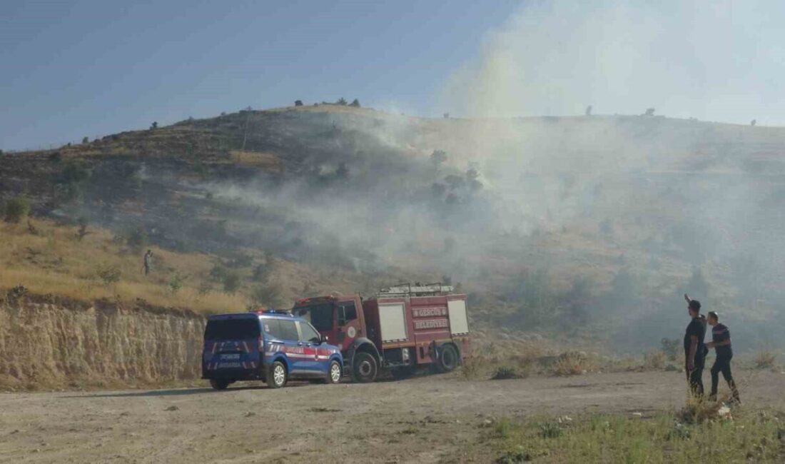 Gercüş ilçesinde meydana gelen örtü yangını, itfaiye ekiplerinin hızlı müdahalesi