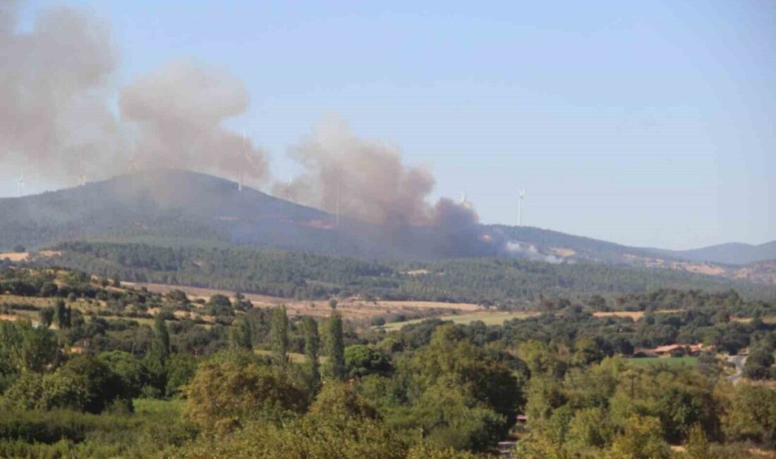 Çanakkale’nin Bayramiç ilçesinde meydana gelen orman yangını, ekiplerin hava ve